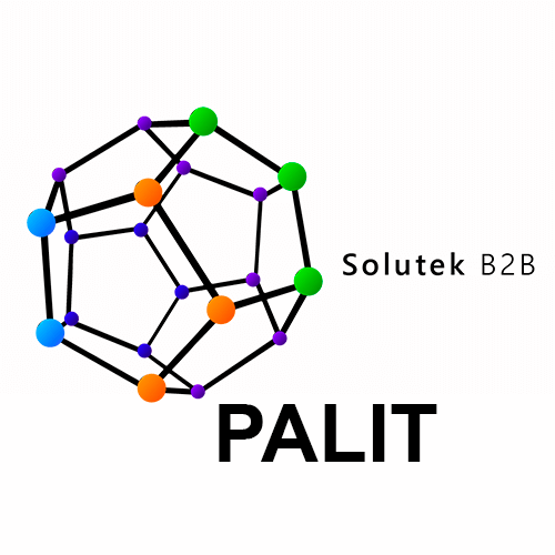 Palit